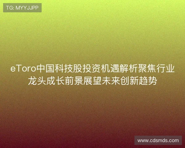 eToro中国科技股投资机遇解析聚焦行业龙头成长前景展望未来创新趋势